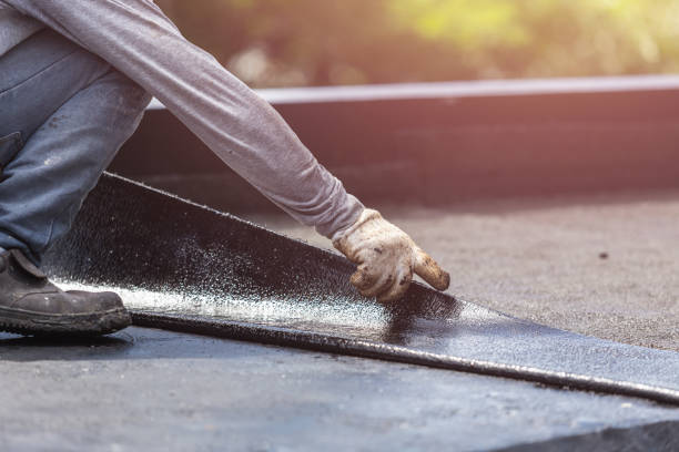 Professional Interior Drainage System technician working in Curtice, OH